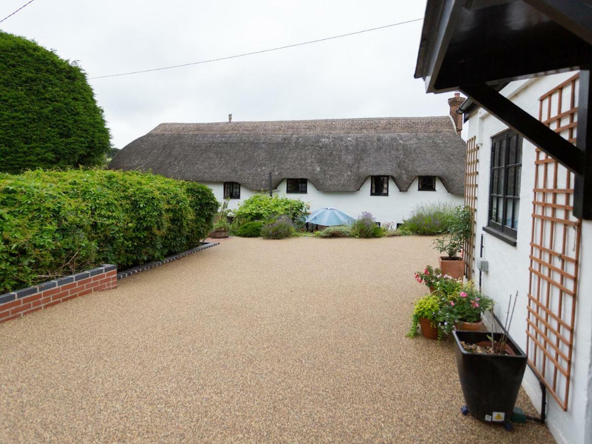 Little England Cottage Milborne Saint Andrew ภายนอก รูปภาพ