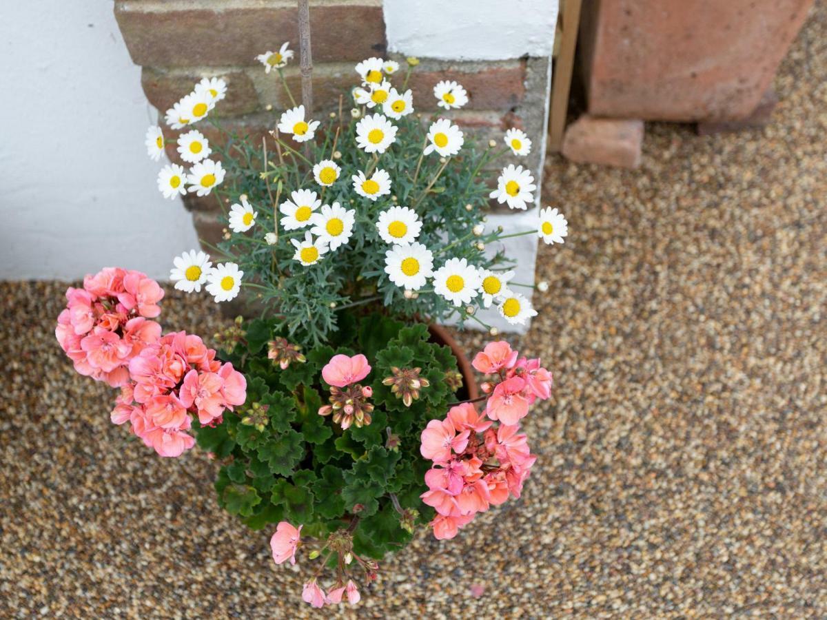 Little England Cottage Milborne Saint Andrew ภายนอก รูปภาพ